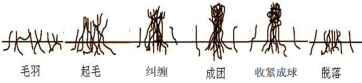 ǲ(й)ٷվ